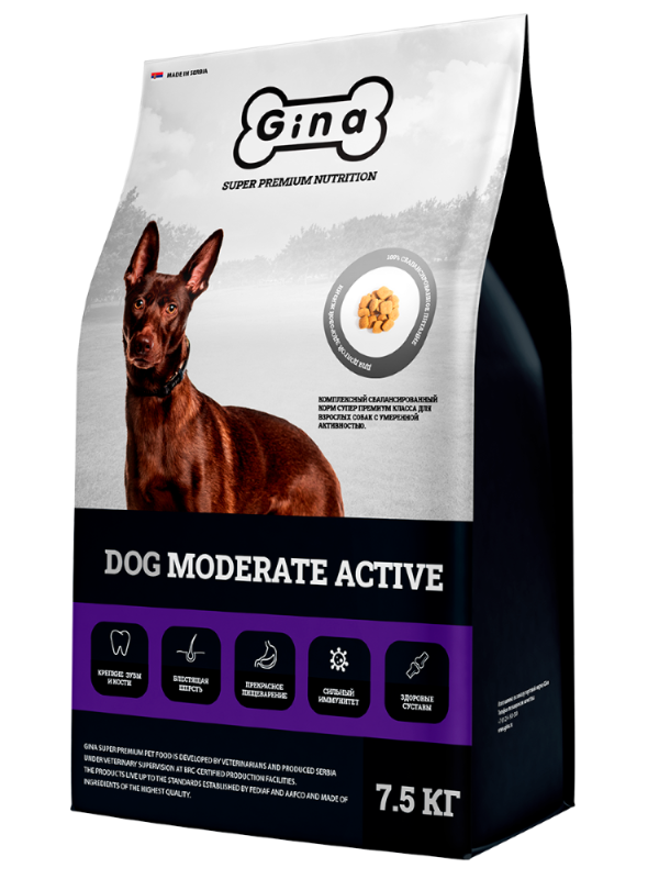 GINA Dog Moderate Active food for dogs with moderate activity (Dog-21)